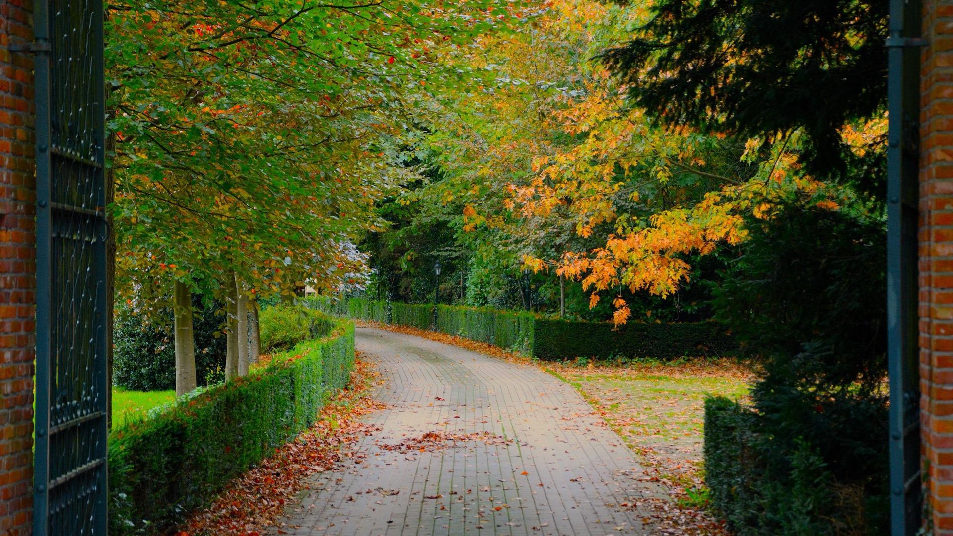 An open iron gate framing a curved driveway under autumn trees.