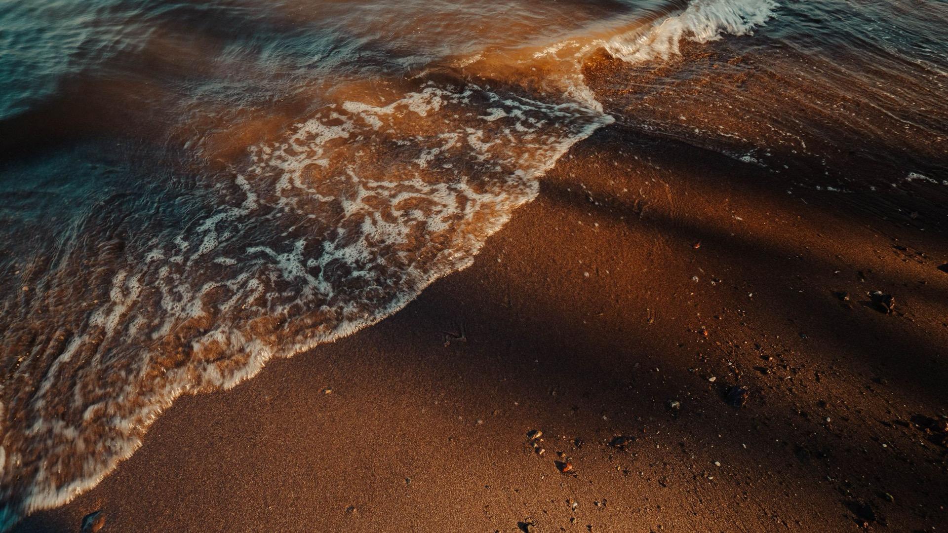 A low wave running up wet sand at sunset, its edge still moving.